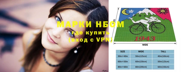 прущая мука Арсеньев