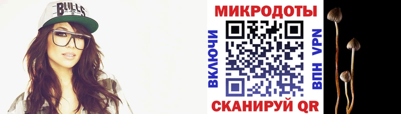 Галлюциногенные грибы ЛСД  Аркадак 